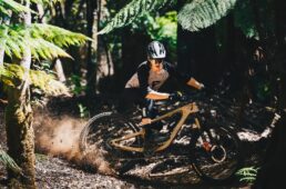 ジャイアント　新型トランス X