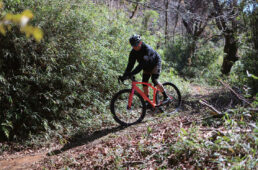 アンストッパブル