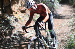 アンドロッパブル