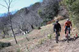 タブチンとエリグチ