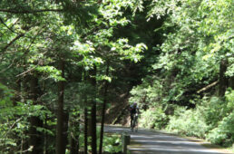 モバイルグランフォンドin奈良・吉野
