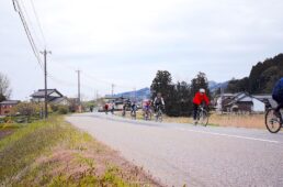 ブルーシートで屋根を覆っている家屋