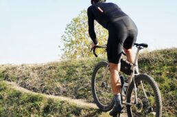 セラロイヤル　SRX OPEN