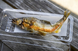 鮎の塩焼き