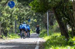 土佐電気鉄道安芸線の配線跡