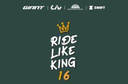 ジャイアント　RIDE LIKE KING 16