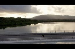 新城幸也ロードのPV