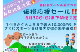 ビッグウェーブPRO3店舗セール