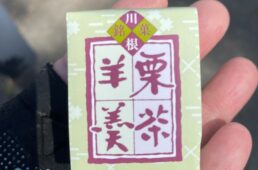 川根銘菓の栗茶羊羹