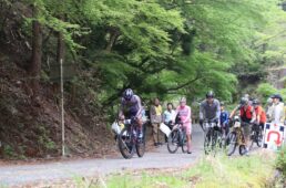 ラリー2のスタート直後の様子