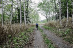 スムーズなグラベル