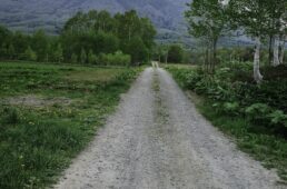 ニセコのグラベル