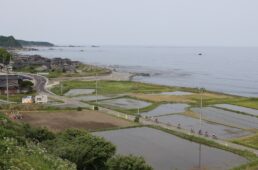 海と田んぼ