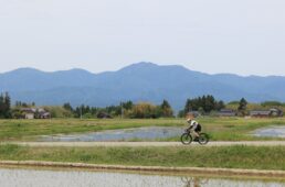 Bコースの田園地帯