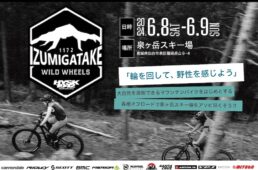 ワイルドホイールズ