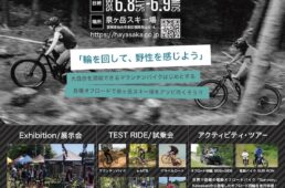 ワイルドホイールズ