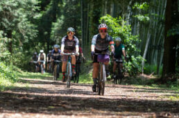 REBOUND参加レポート