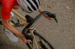 デダエレメンティ・アラネラ RS