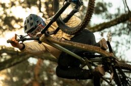 ブルーグラス JETRO MIPS