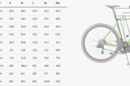 ヴェルティカーレSLRのジオメトリ