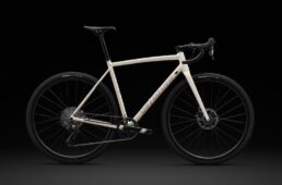 スペシャライズド・クラックス DSW