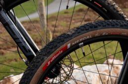 メスカルXCレース