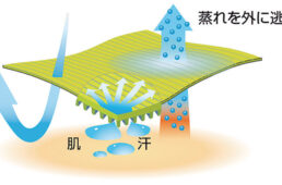 ウィックロンクール