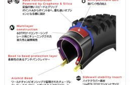 モストロエンデューロレースの構造