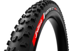 モストロエンデューロレース