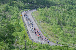 ニセコクラシック2024