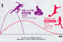 パラチノースの