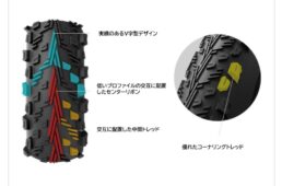 ペヨーテのトレッド