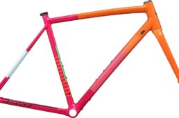 スペシャライズド・クラックス DSW