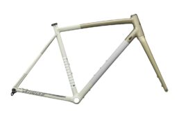 スペシャライズド・クラックス DSW