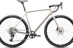 スペシャライズド・クラックス DSW