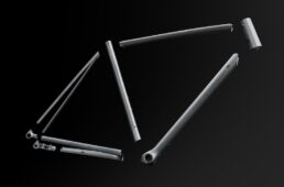 スペシャライズド・クラックス DSW