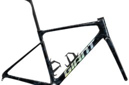 ジャイアント　2025早期モデル