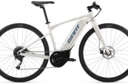 ジャイアント　2025早期モデル