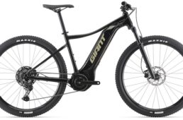 ジャイアント　2025早期モデル