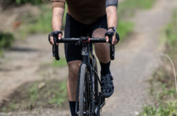 アジリスト ファスト TLRをインプレッション