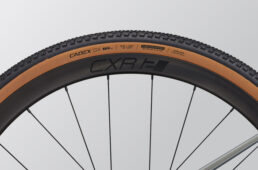 ジャイアント・リボルト アドバンスド