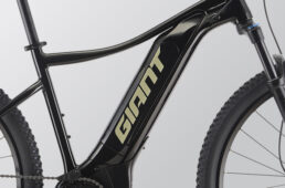 ジャイアント　2025早期モデル