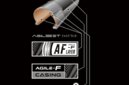 アジリストファストTLRの構造