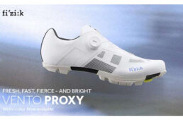 フィジーク　VENTO PROXY