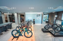 スペシャライズド稲城