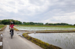 荒サイの分かりにくいポイント