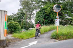 荒サイの分岐点
