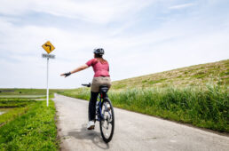荒サイの田園左折ポイント
