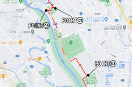 秋ヶ瀬公園〜榎本牧場 定番コース②