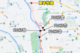 秋ヶ瀬公園〜榎本牧場 定番コース④